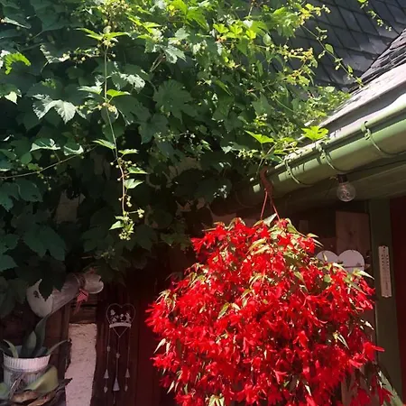 Fruehstuecks Zum Postillion Hotel 2*