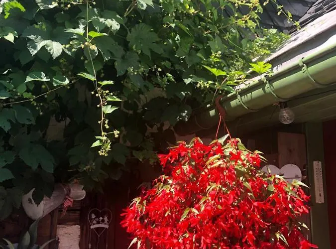 Fruehstuecks Zum Postillion فندق 2*