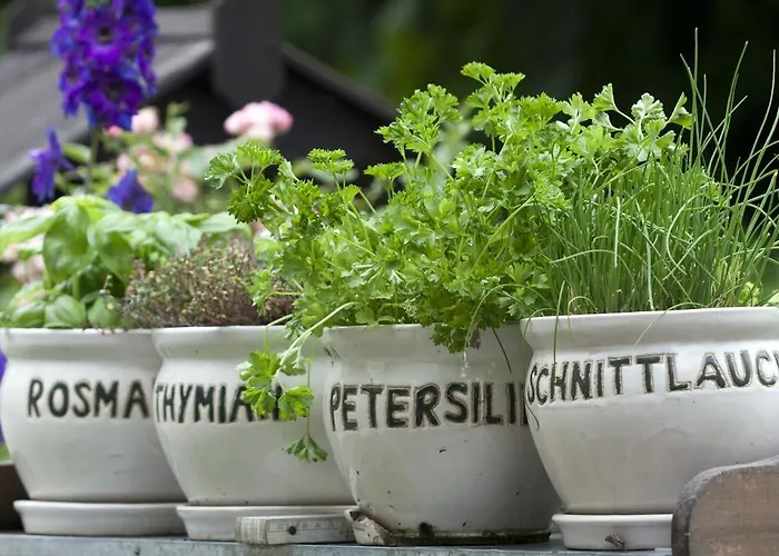 فندق Fruehstuecks Zum Postillion 2*