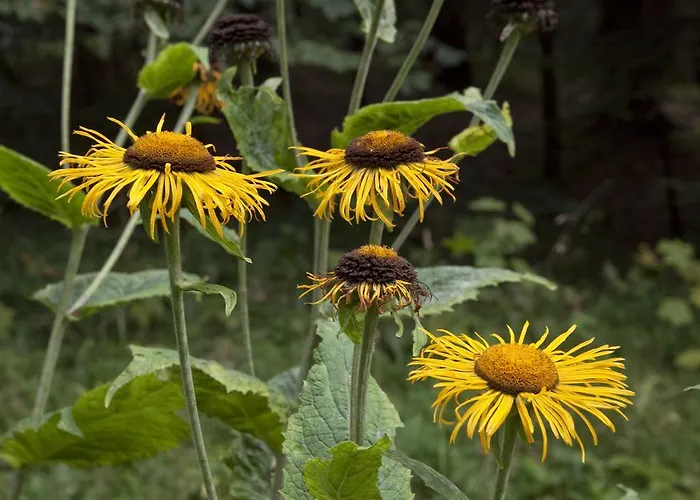 Fruehstuecks Zum Postillion